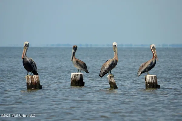 $26,000 | 18 Pelican Cove Lane, Long Beach, MS 39560