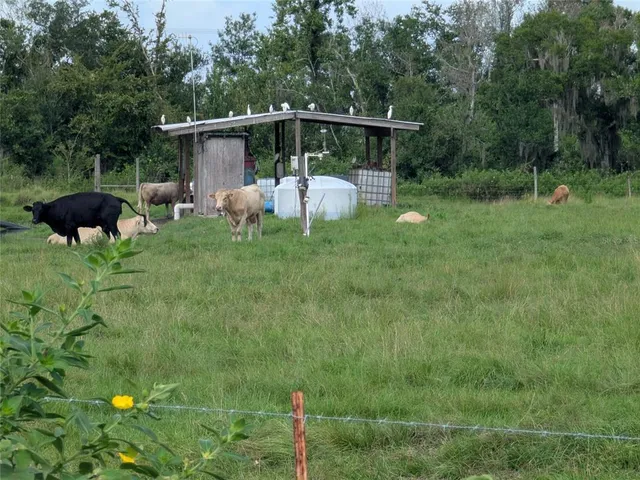 a view of backyard with barbeque grill and green space