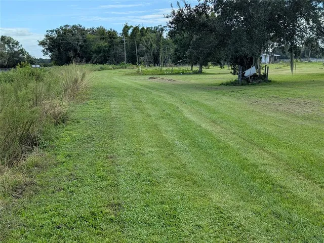 a view of a park with large trees
