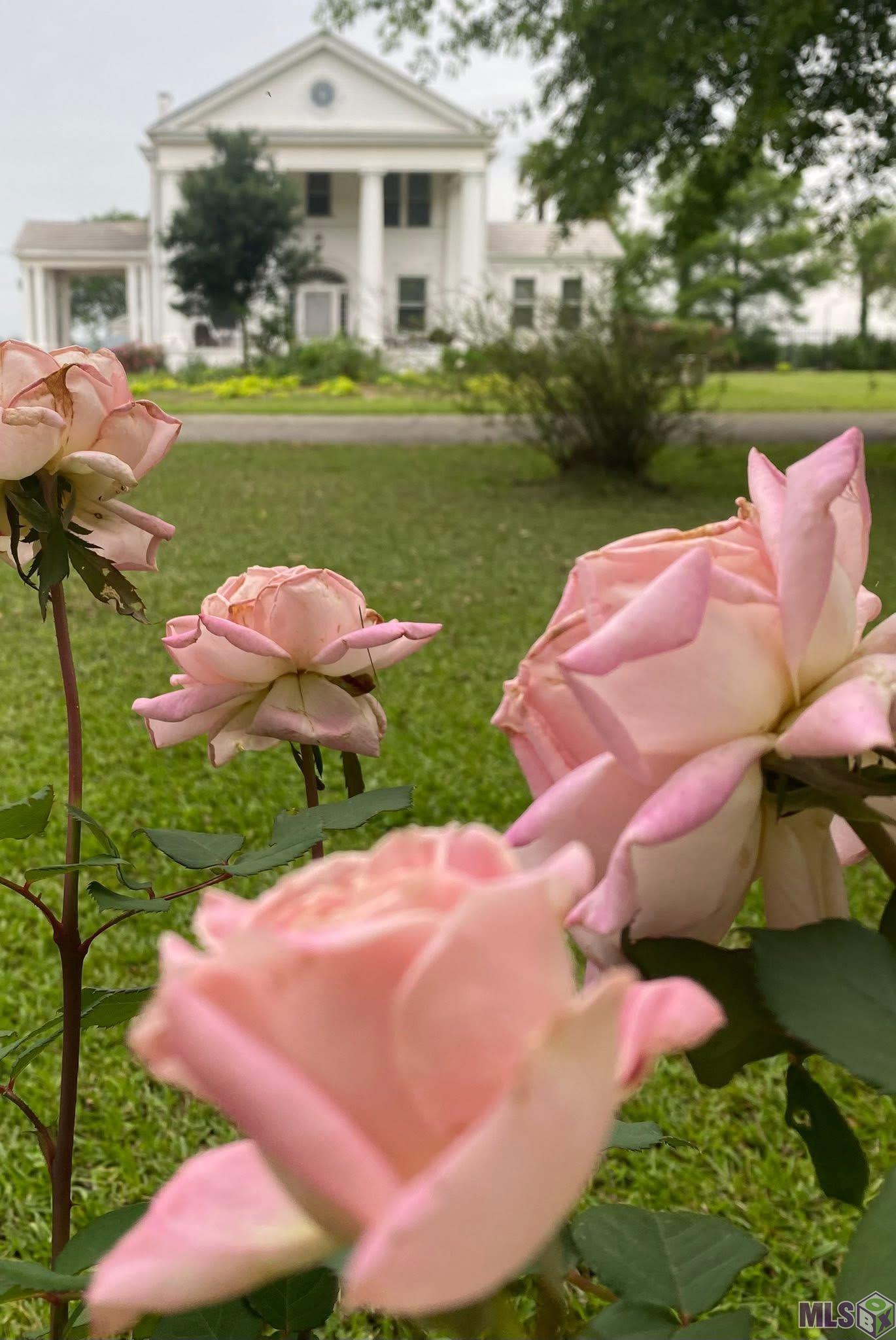 56 Meeker Road Lecompte, LA 71346 - Photo 38 of 49