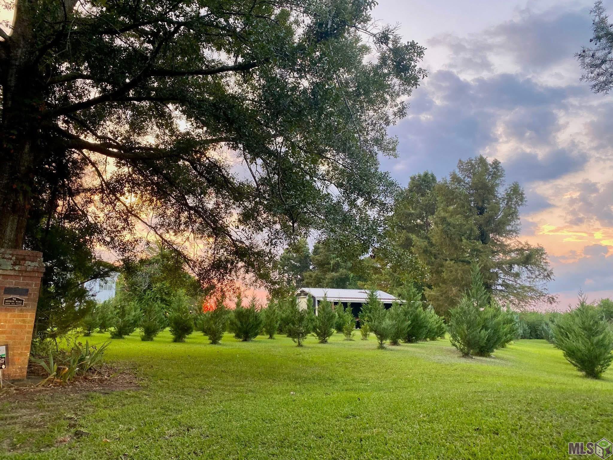 56 Meeker Road Lecompte, LA 71346 - Photo 41 of 49