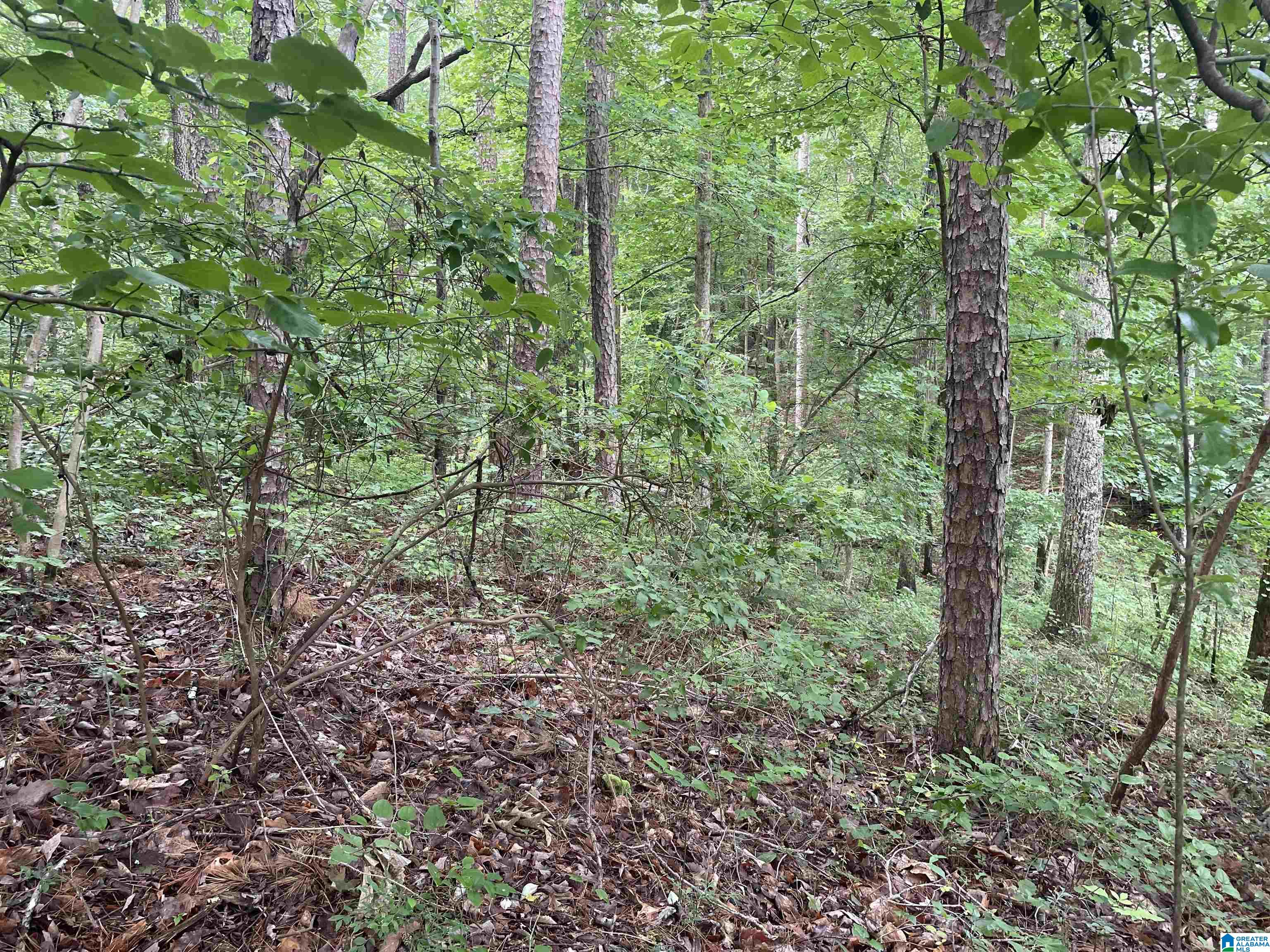 0 Cherrywood Road, Unit 8 Oneonta, AL 35121 - Photo 11 of 13