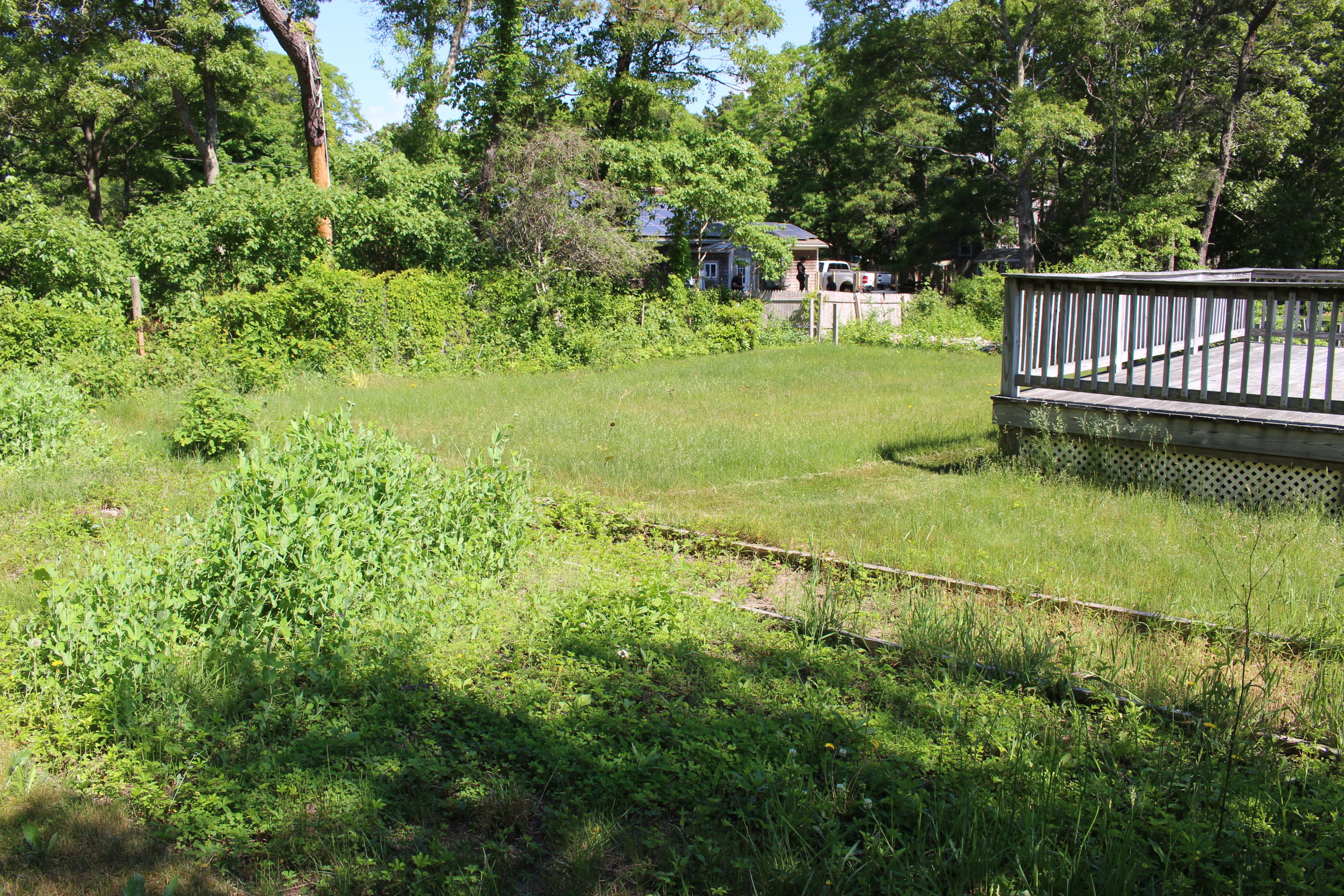 497 Lincoln Rd Extension Hyannis, MA 02601 - Photo 40 of 40 IMG_1432