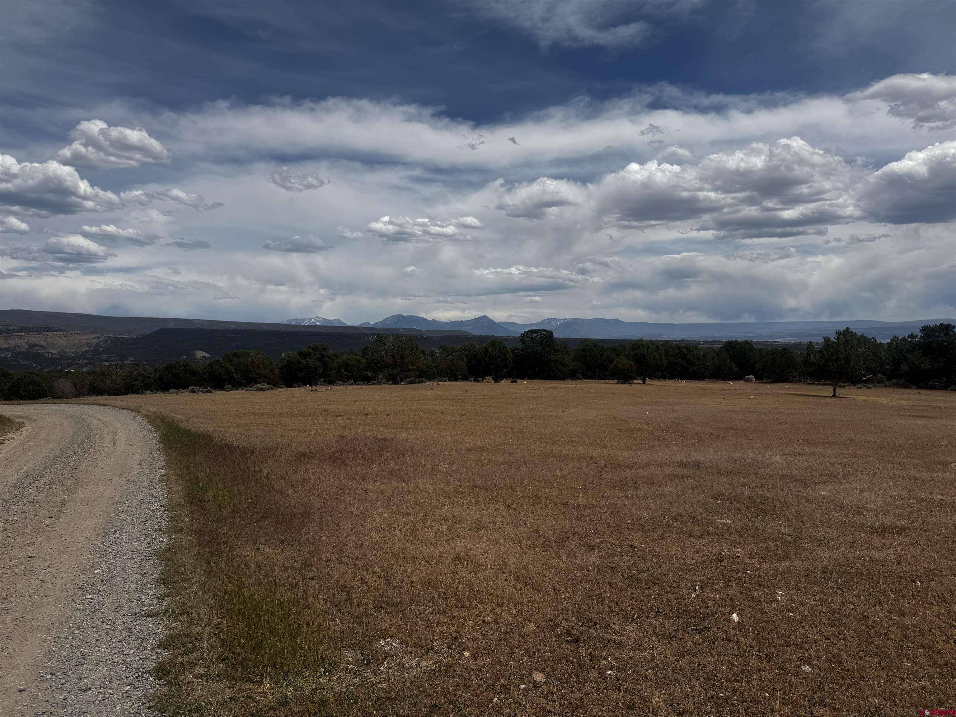Tbd 2550th Road Cedaredge, CO 81413 - Photo 4 of 5