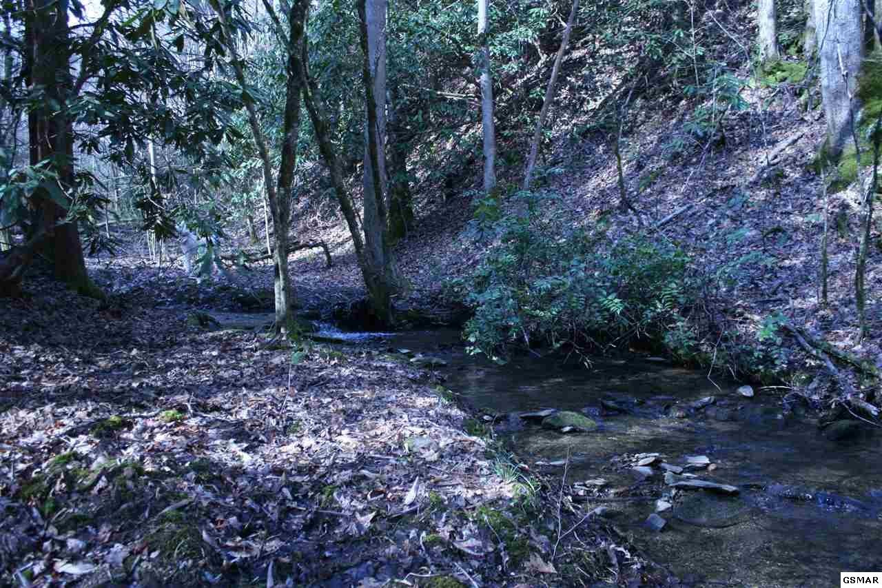 0 Ball Hollow Road Cosby, TN 37722 - Photo 17 of 36 Gallery Image 17