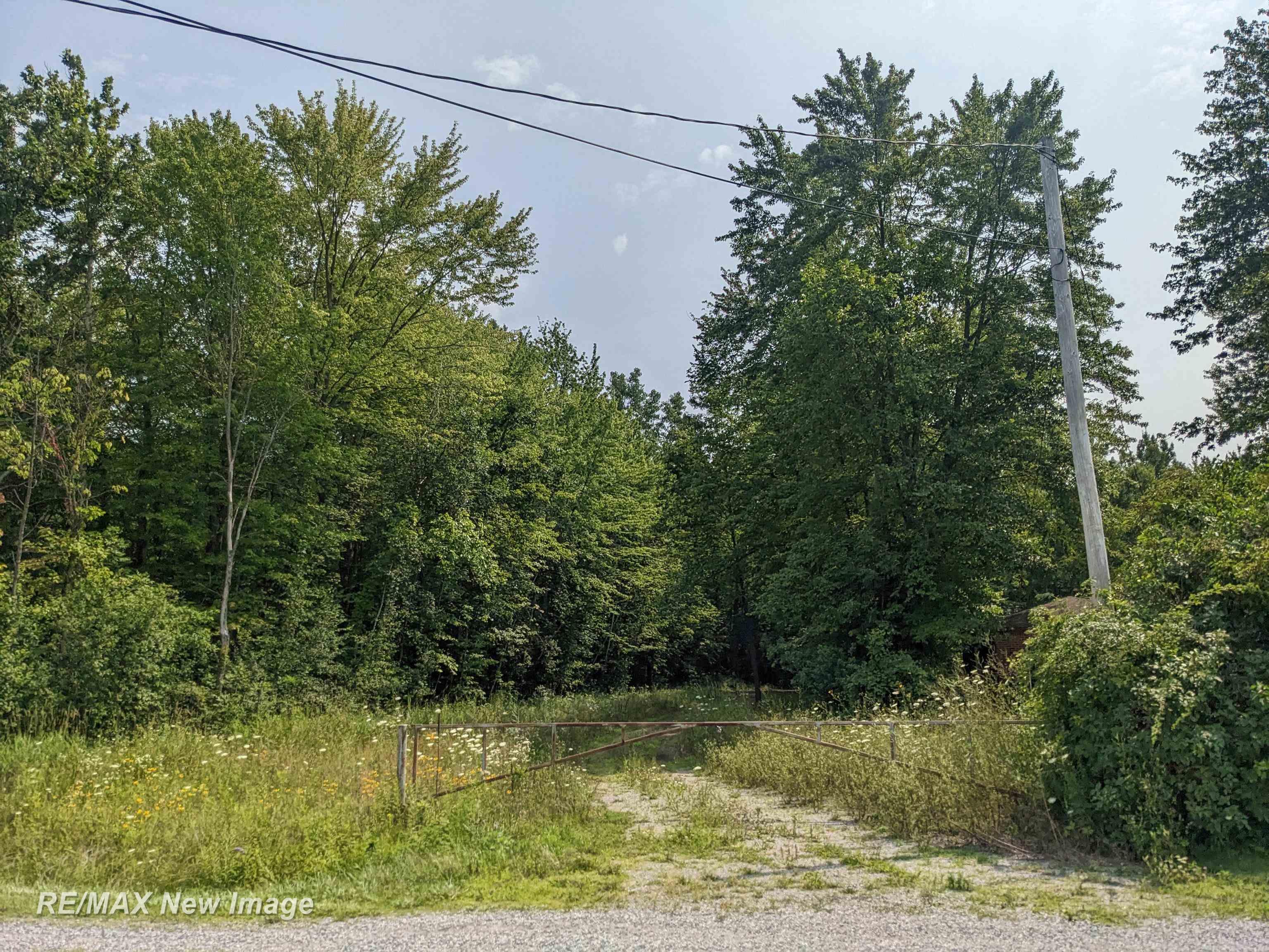 Vl Busch Road Birch Run, MI 48415 - Photo 1 of 34