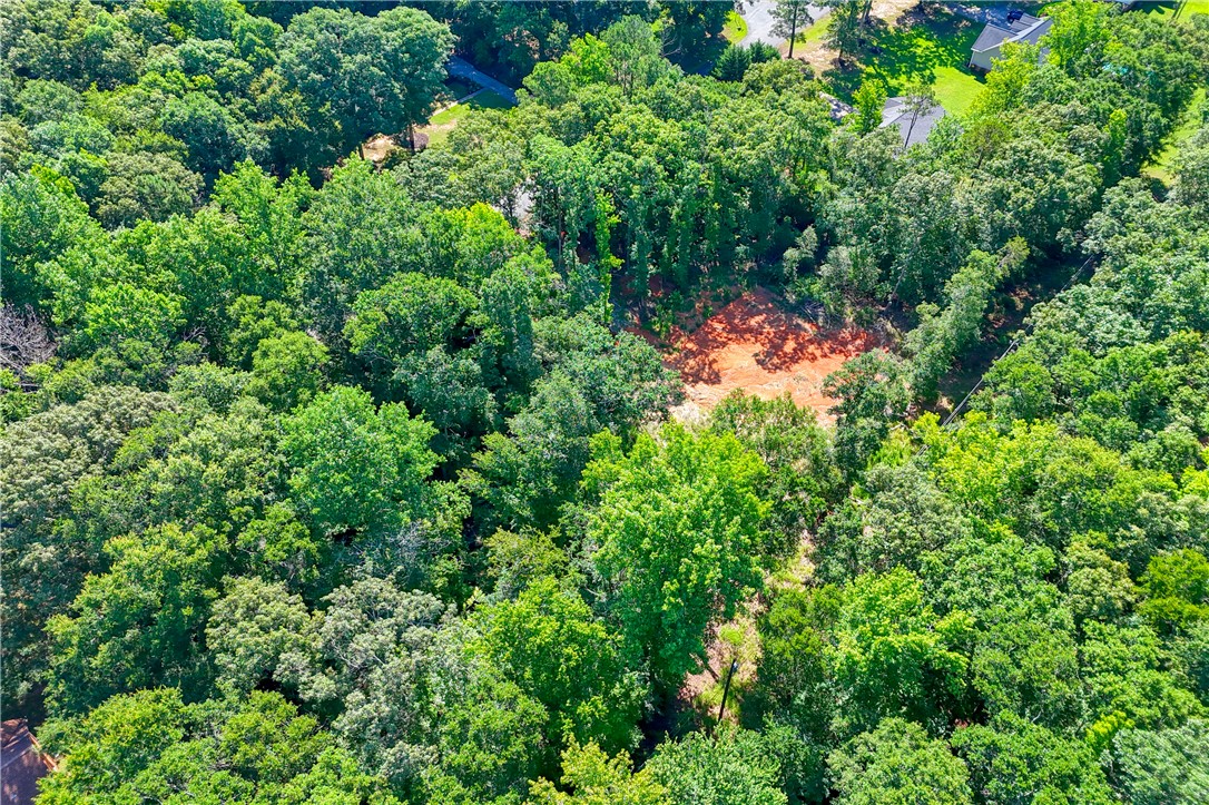 1020 Green Willow Trail Anderson, SC 29621 - Photo 11 of 28 A verdant canopy blankets a spacious lot, hinting at seclusion and natural beauty.
