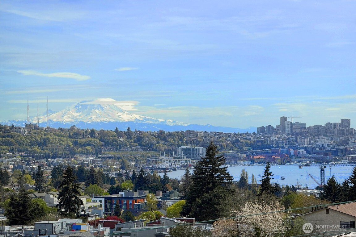 908 North 46th Street, Unit E Seattle, WA 98103 - Photo 23 of 25