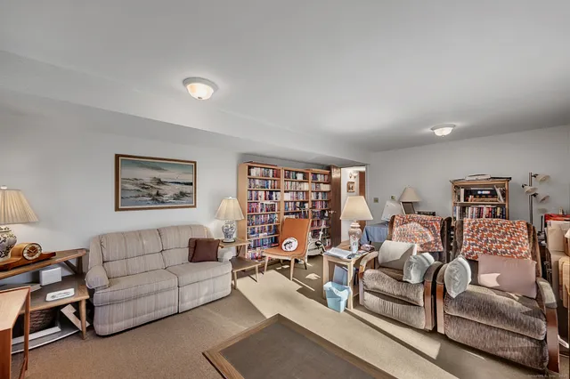 a view of a backyard with plants and large trees