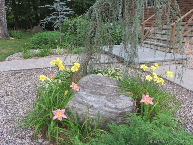 52 Wood Creek Road Burlington, CT 06013 - Photo 35 of 40 a backyard of a house with lots of green space