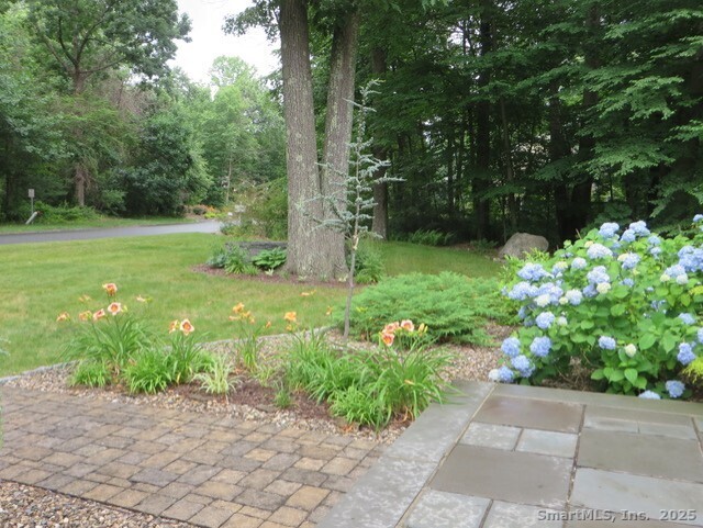 52 Wood Creek Road Burlington, CT 06013 - Photo 36 of 40 a garden with trees