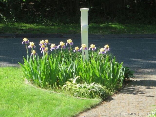 52 Wood Creek Road Burlington, CT 06013 - Photo 38 of 40 a view of a lake with a tree