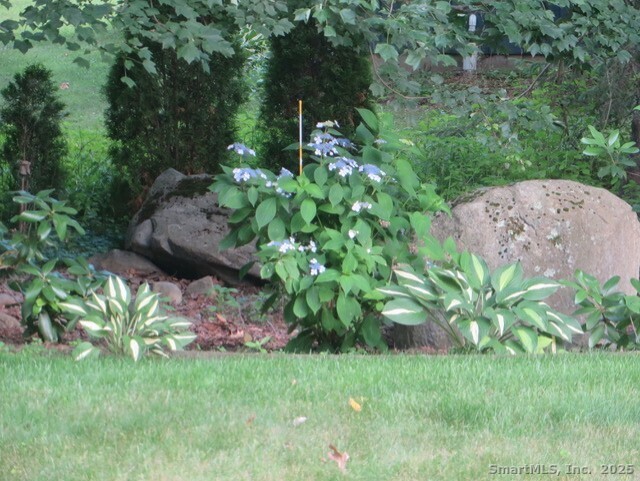 52 Wood Creek Road Burlington, CT 06013 - Photo 40 of 40 a backyard of a house with lots of green space