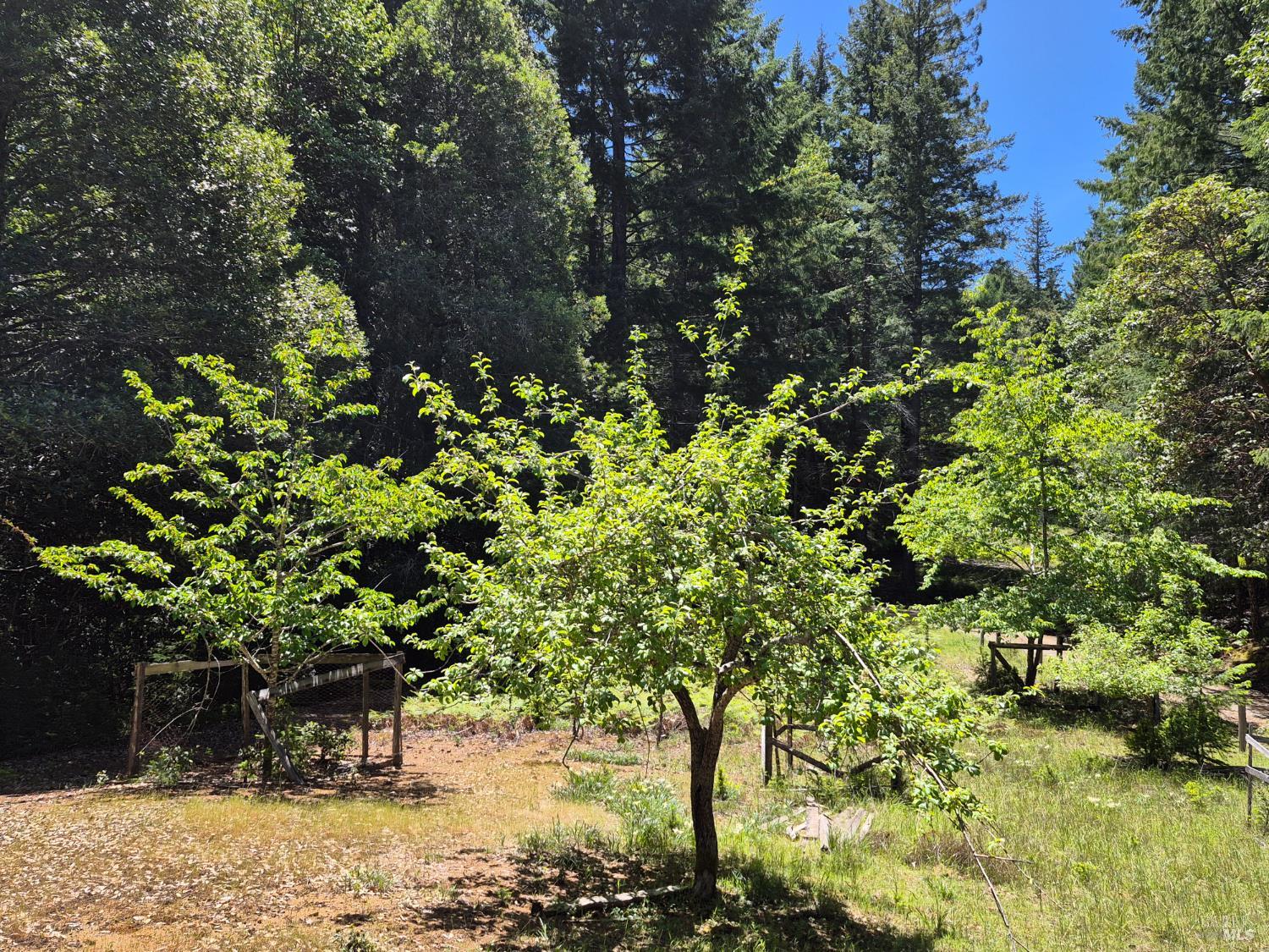 11903 Branscomb Road Laytonville, CA 95454 - Photo 24 of 72