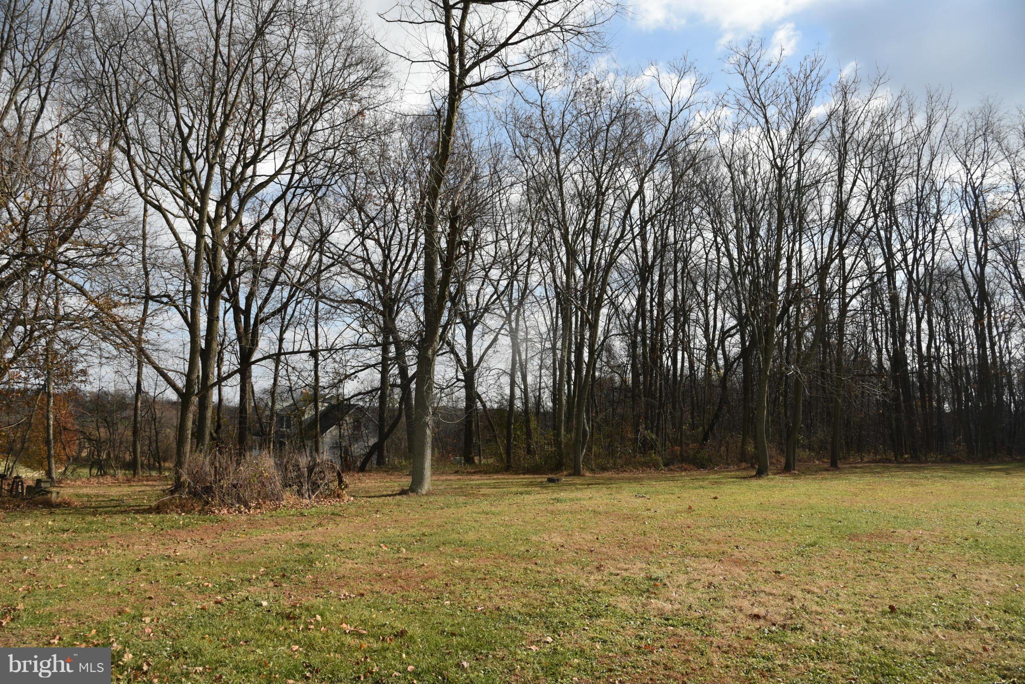 3905 Salem Bottom Road Westminster, MD 21157 - Photo 13 of 26 a view of backyard with green space