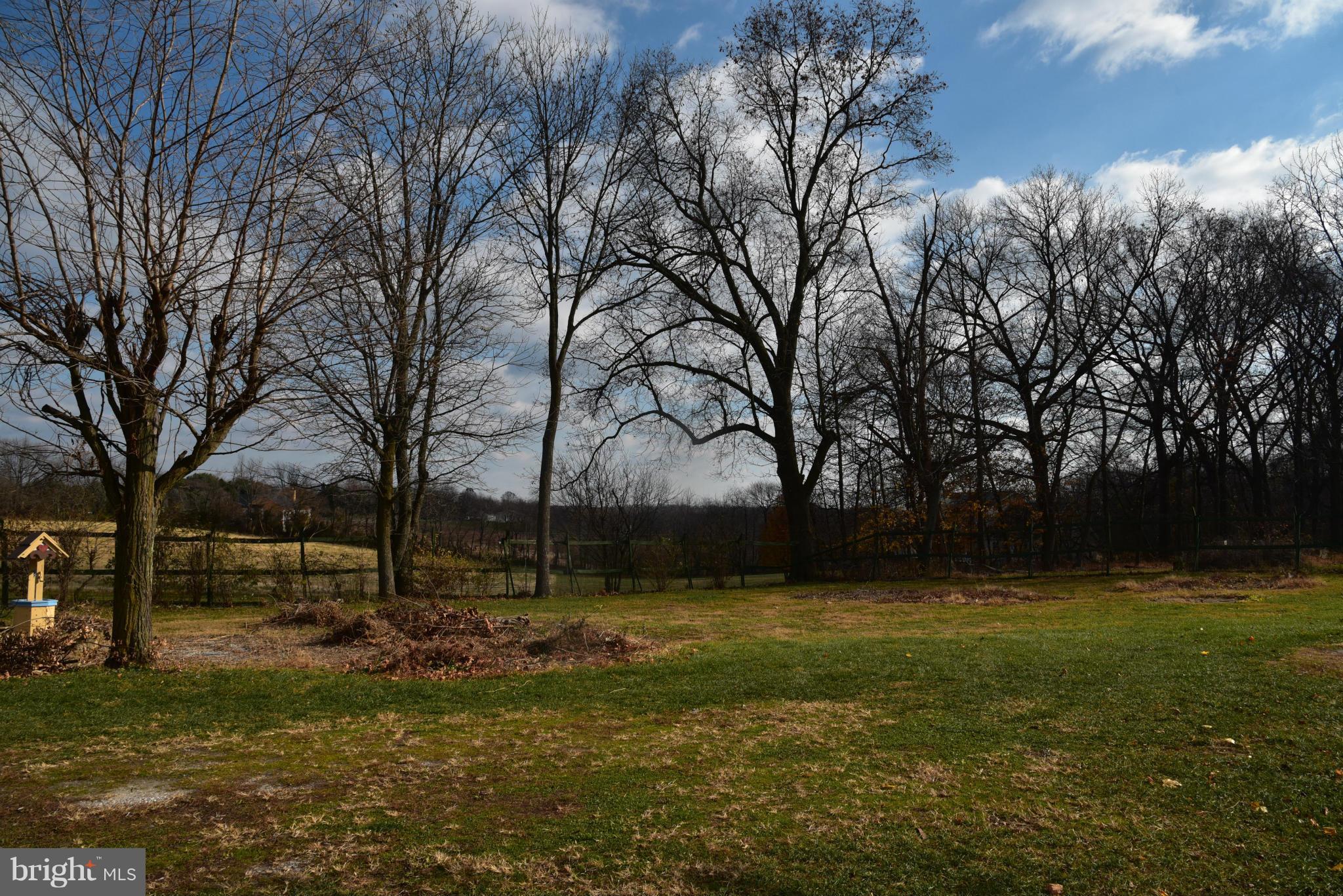3905 Salem Bottom Road Westminster, MD 21157 - Photo 9 of 26 a view of a yard with a large trees