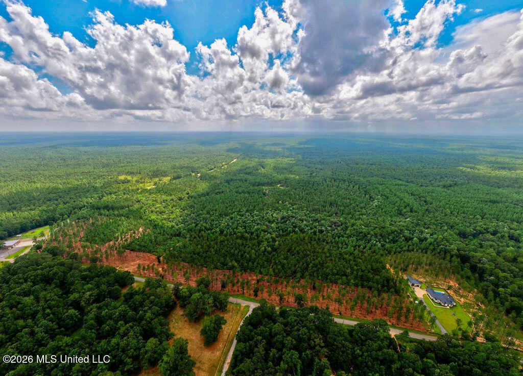 Nhn Lot 2 Nhn Road Saucier, MS 39574 - Photo 59 of 87 HiddenCreekEstatesNoLines-16