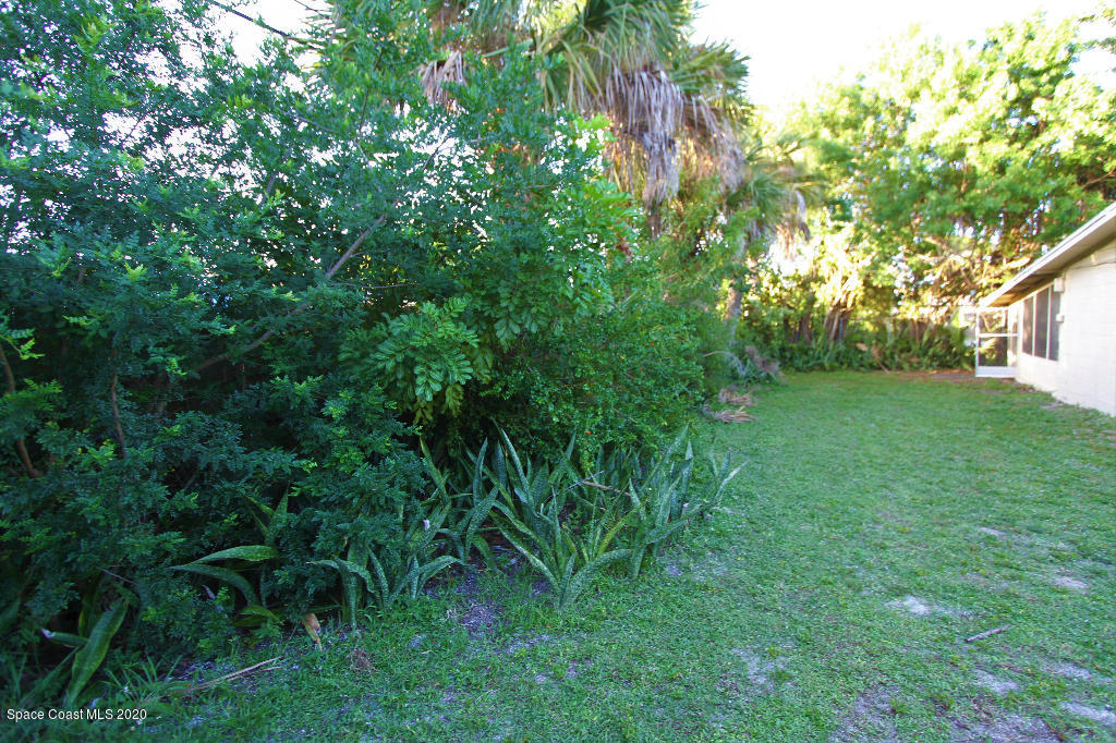 809 8th Street Merritt Island, FL 32953 - Photo 21 of 21 a view of a yard with a tree