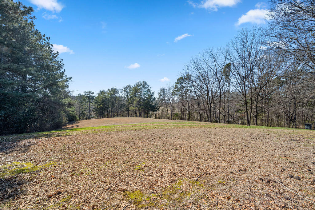 785 West 12th Street Chickamauga, GA 30707 - Photo 4 of 23 785W12th-30