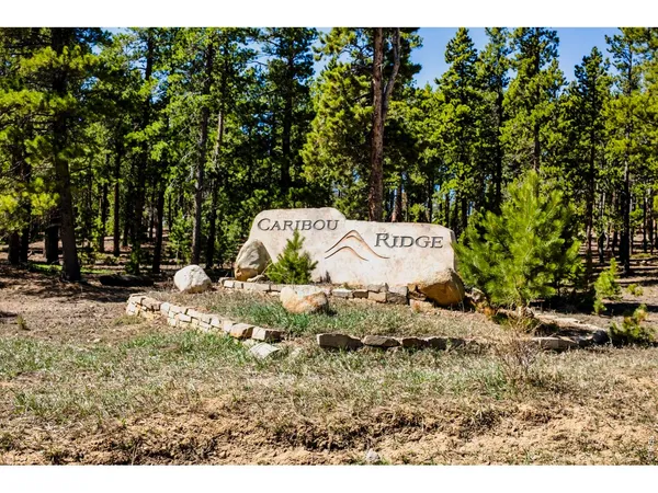 $2,200,000 | 11 Juneau Circle, Nederland, CO 80466