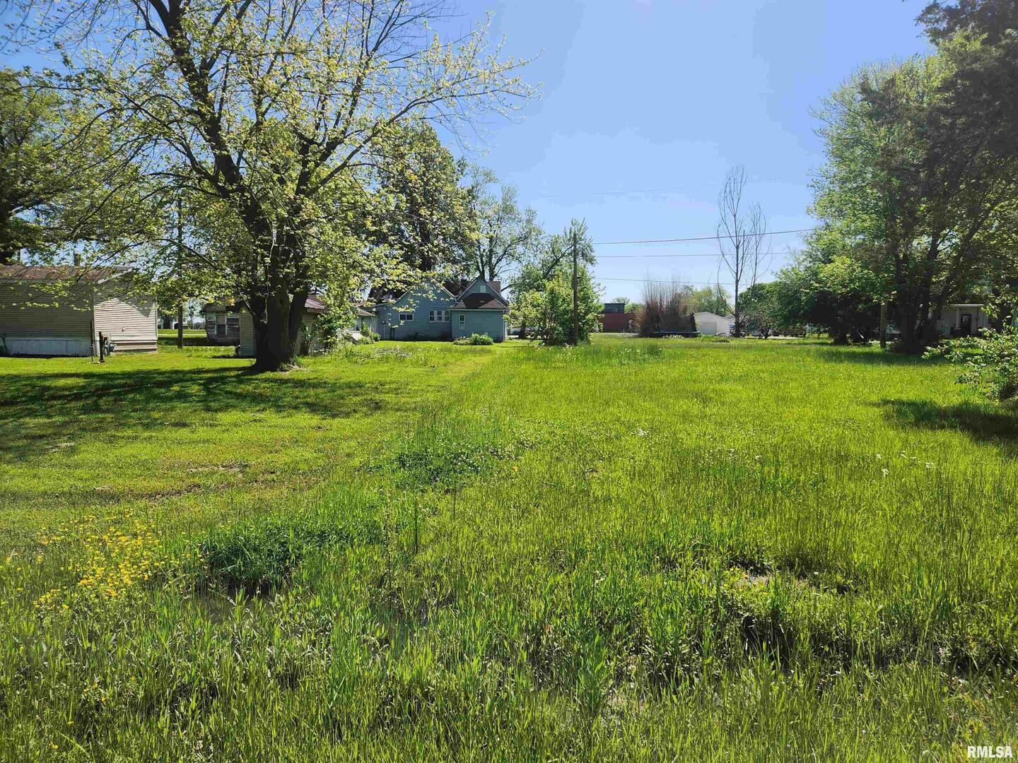 0 Northeast Railroad Street Ashley, IL 62808 - Photo 2 of 2 a view of a grassy field with trees