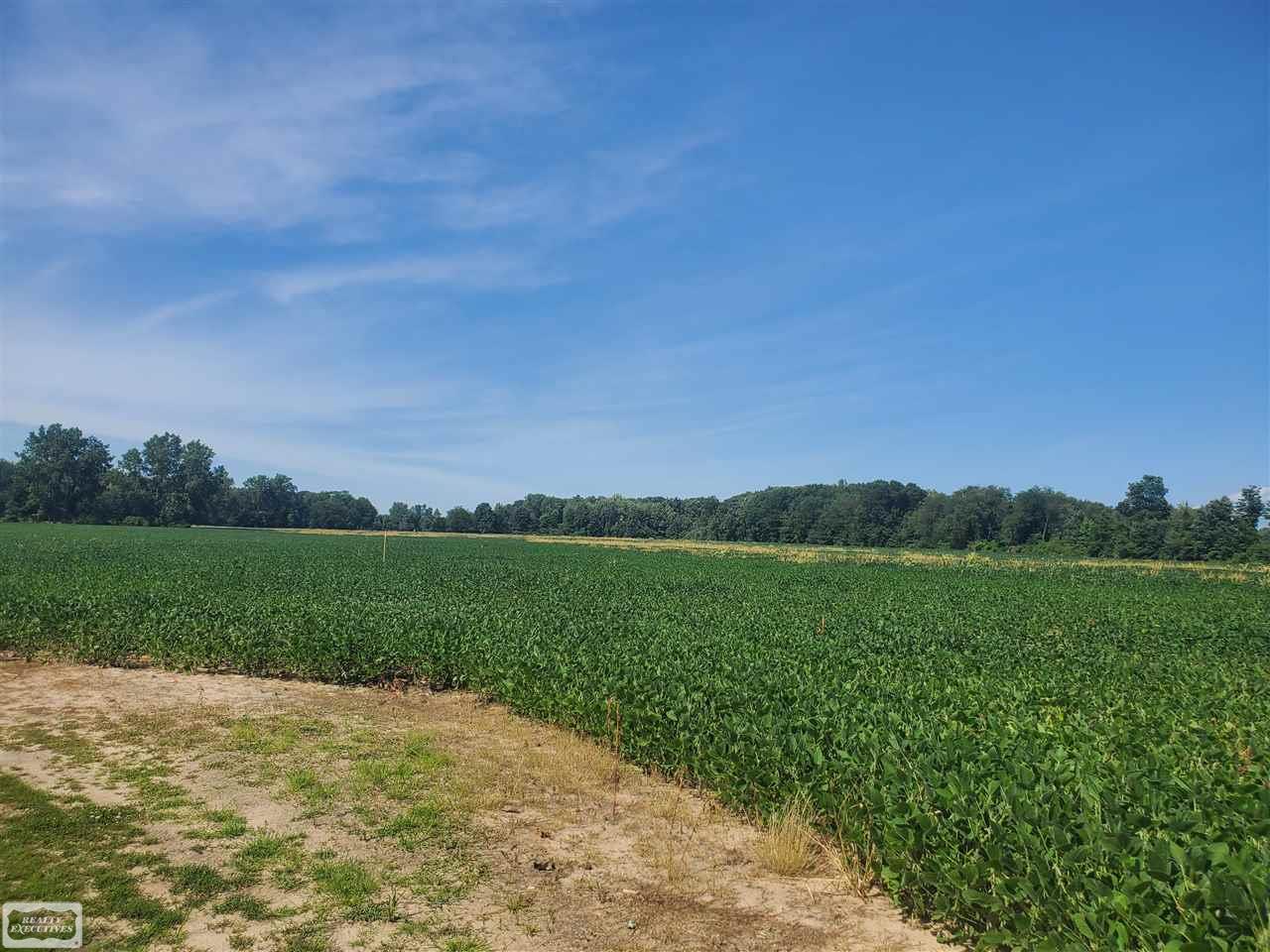 31 31 Mile Road New Haven, MI 48050 - Photo 9 of 10