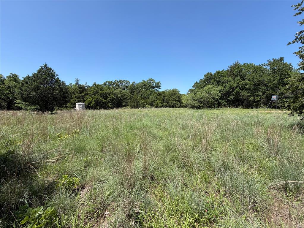 230 Keys Road Sunset, TX 76270 - Photo 1 of 28 a view of a field with a tree in the background