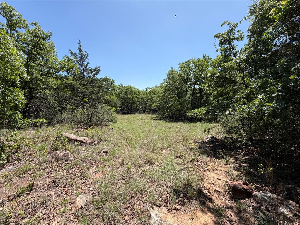 230 Keys Road Sunset, TX 76270 - Photo 13 of 28 a view of a yard with a tree