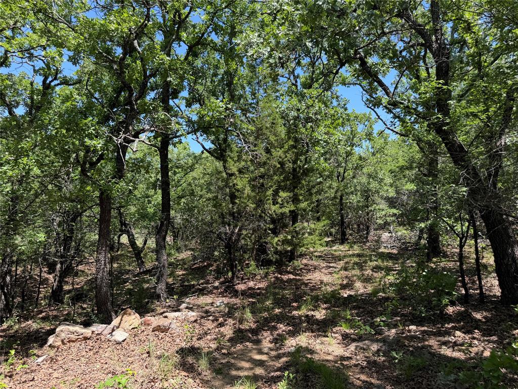 230 Keys Road Sunset, TX 76270 - Photo 16 of 28 a view of a tree