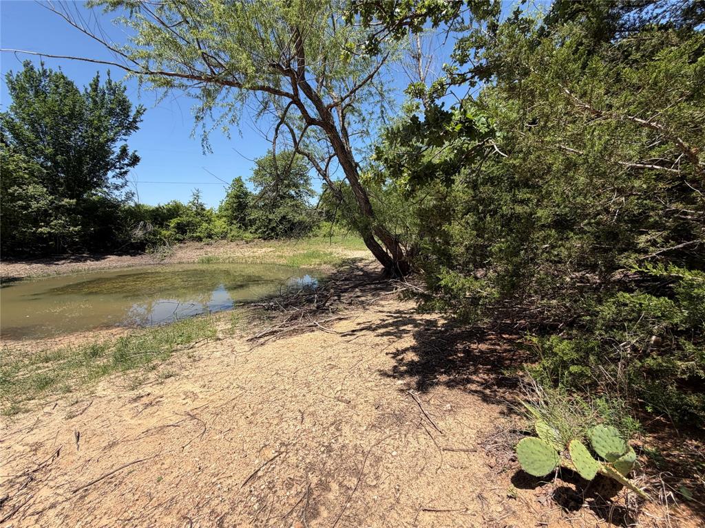 230 Keys Road Sunset, TX 76270 - Photo 19 of 28 a view of a yard with a tree