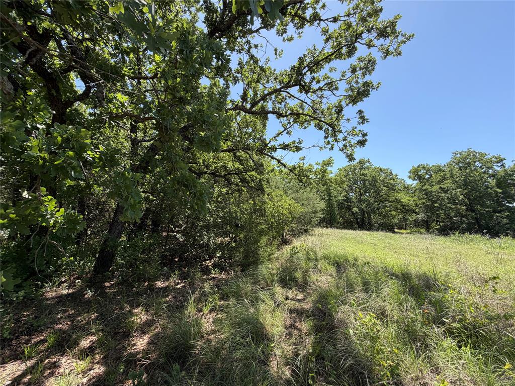 230 Keys Road Sunset, TX 76270 - Photo 20 of 28 a view of a field with a tree