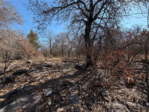 a view of dirt field and trees