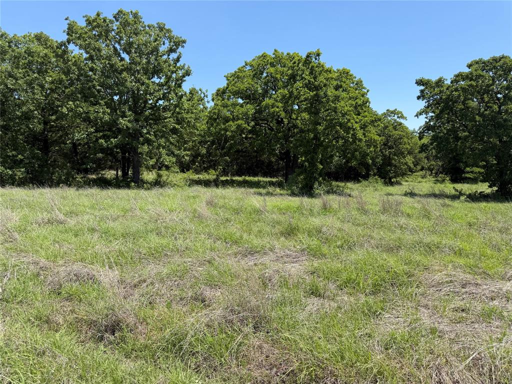 230 Keys Road Sunset, TX 76270 - Photo 23 of 28 a backyard of a house with lots of green space