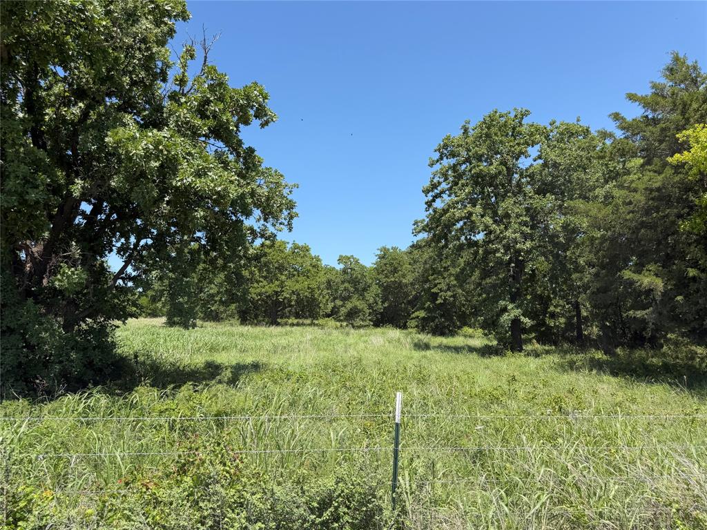 230 Keys Road Sunset, TX 76270 - Photo 26 of 28 a view of a green field with lots of bushes