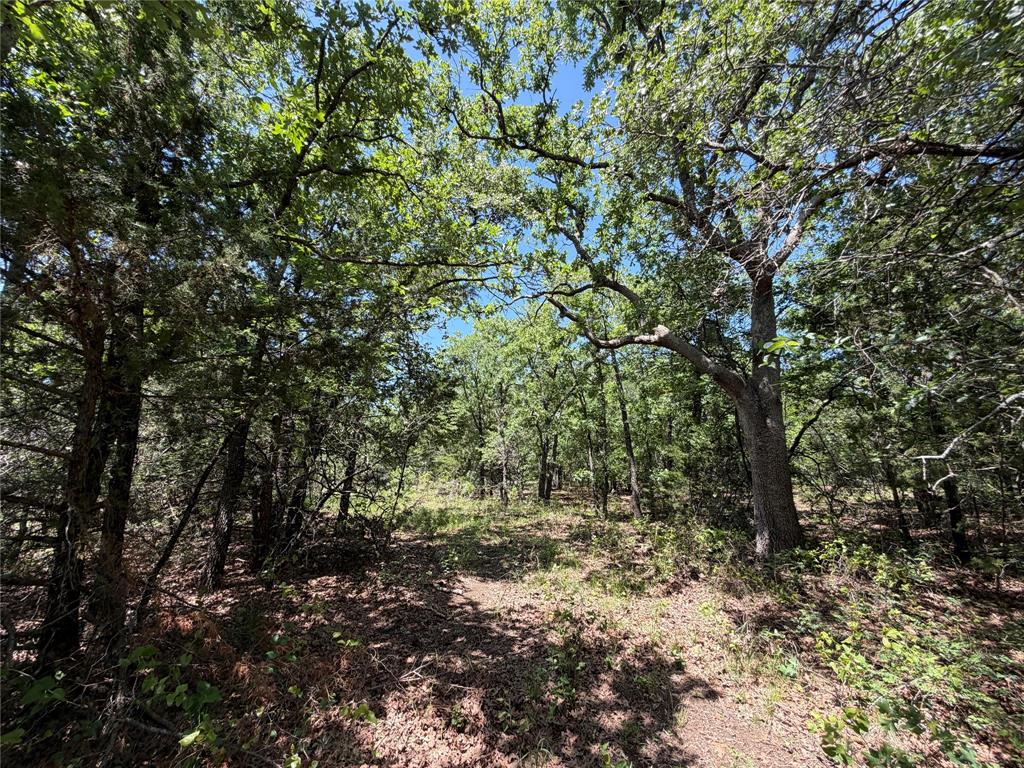 230 Keys Road Sunset, TX 76270 - Photo 5 of 28 a view of outdoor space and a yard