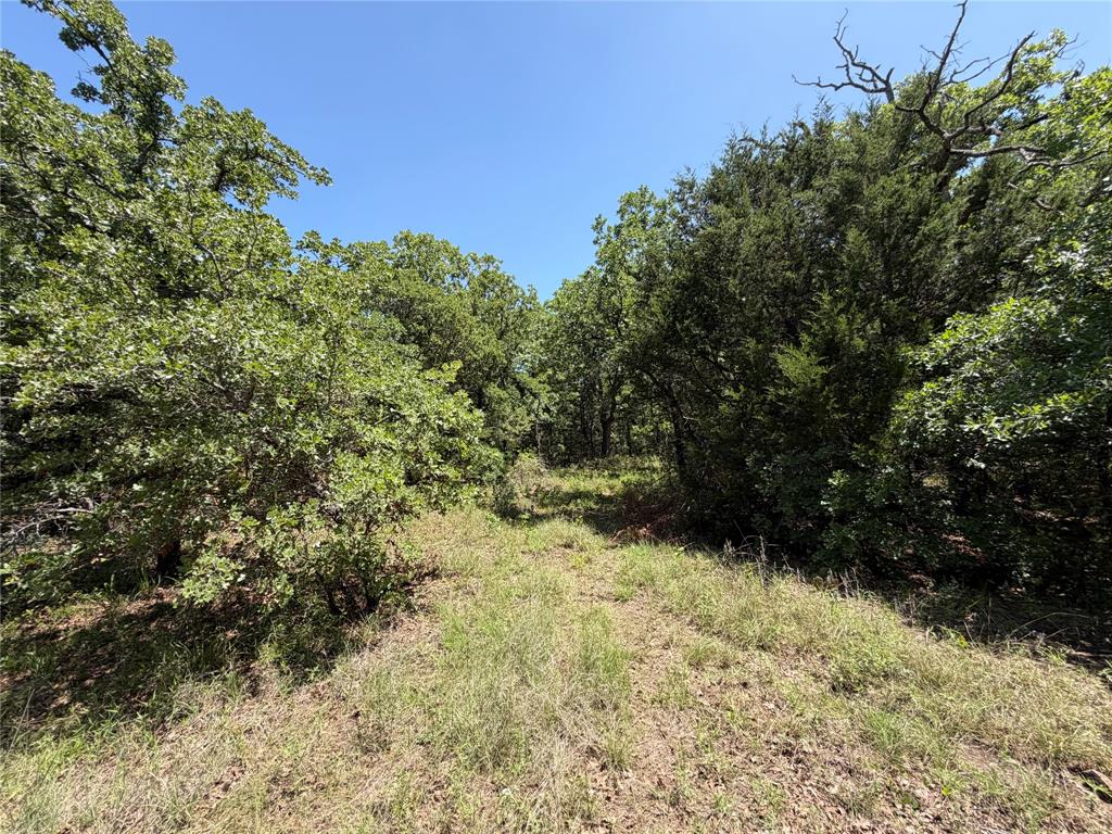 230 Keys Road Sunset, TX 76270 - Photo 6 of 28 a view of a yard with a tree