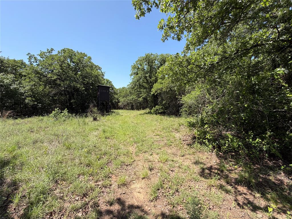230 Keys Road Sunset, TX 76270 - Photo 7 of 28 a view of a garden with a tree