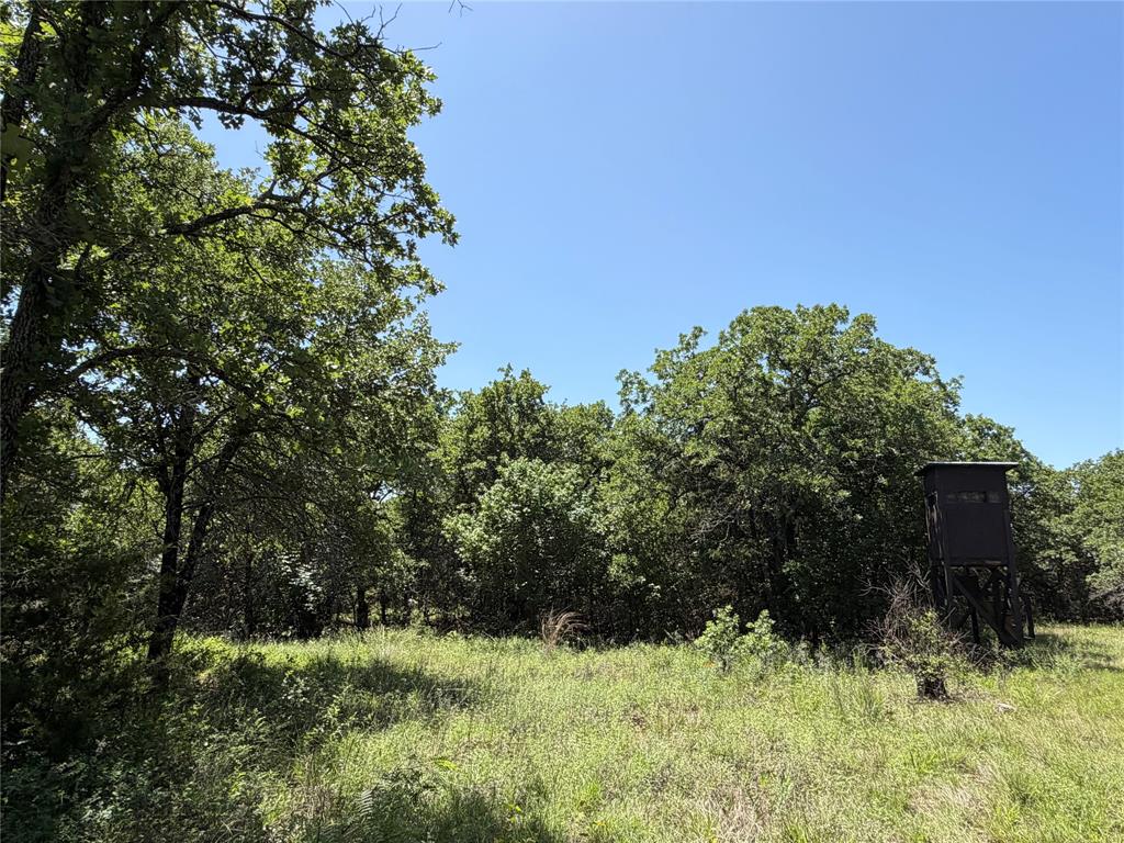 230 Keys Road Sunset, TX 76270 - Photo 8 of 28 a view of a garden