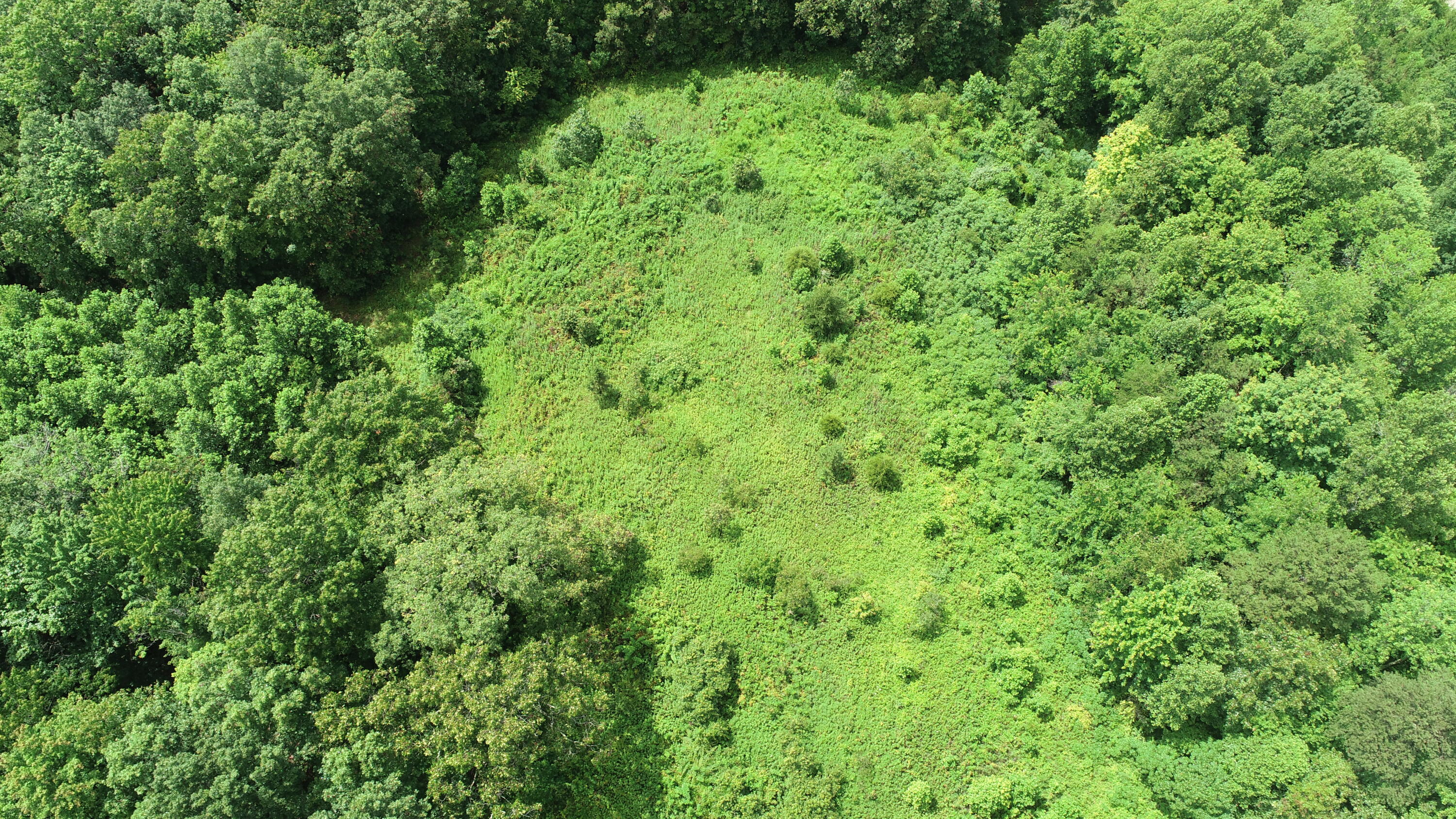 800 Pond Lick Road Annville, KY 40402 - Photo 33 of 46 DJI_0784