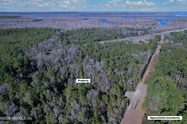 a view of a city with lush green forest