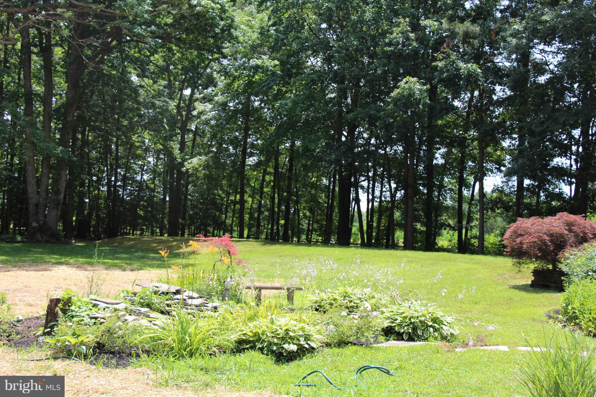 5305 Ferry Neck Road Royal Oak, MD 21662 - Photo 34 of 70 Gallery Image 34