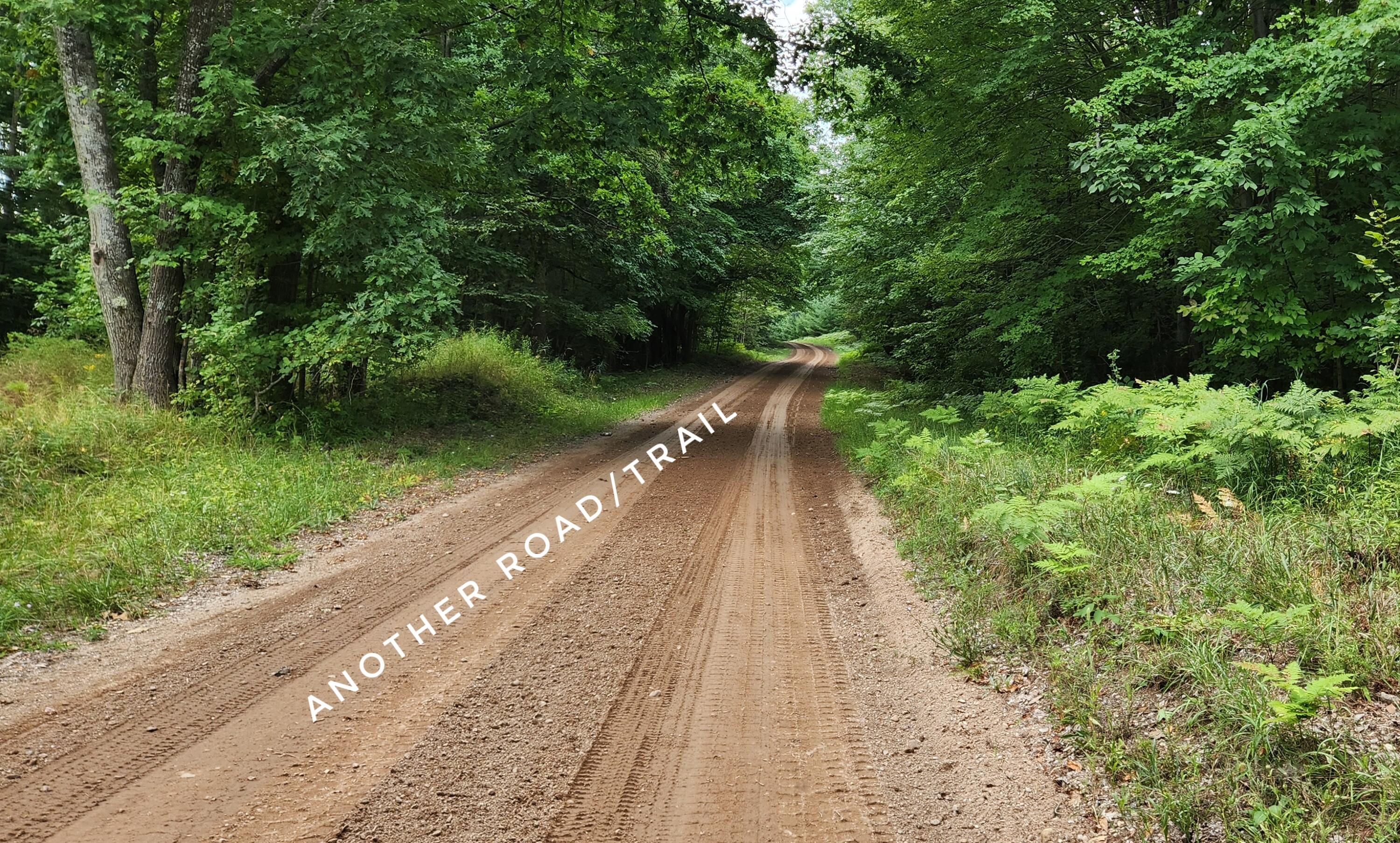 9557 East Anthony Road Branch, MI 49402 - Photo 77 of 98 1000032139