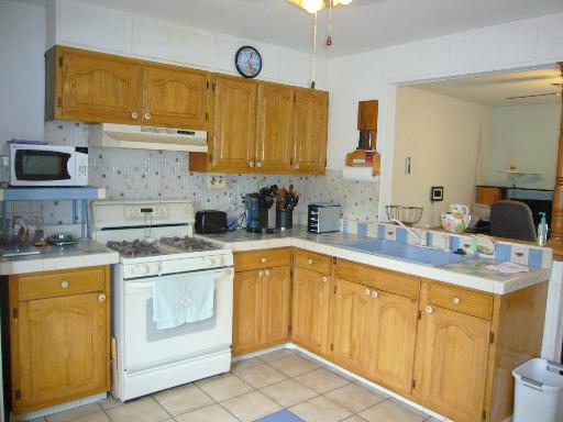 449 Rockhurst Road Bolingbrook, IL 60440 - Photo 5 of 16