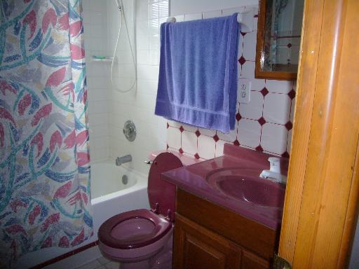 449 Rockhurst Road Bolingbrook, IL 60440 - Photo 8 of 16
