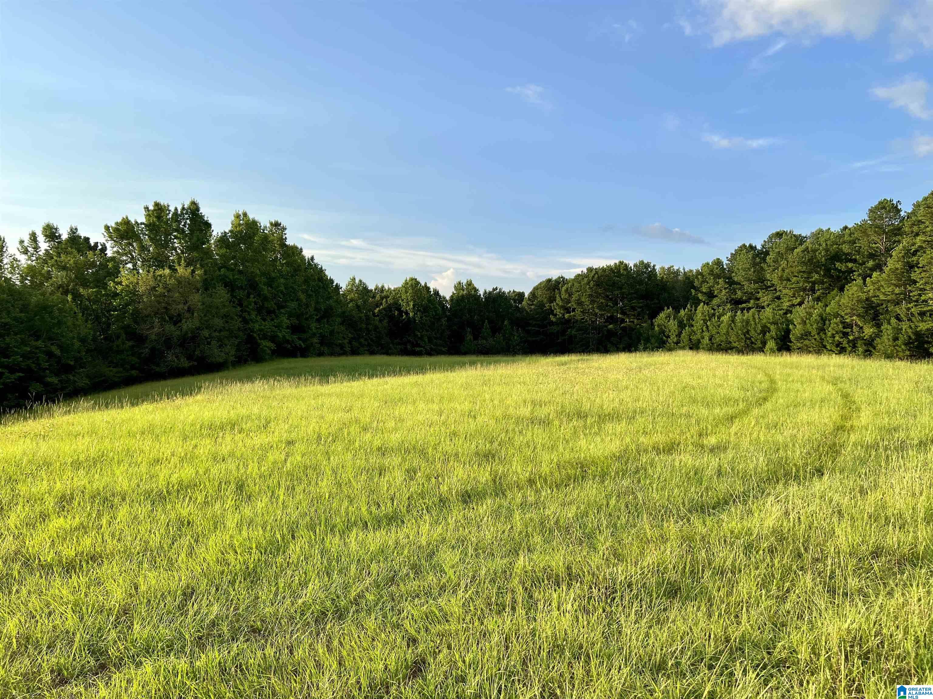 1515 Kelly Ranch Road, Unit 138 ACRES / Talladega, AL 35160 - Photo 15 of 42