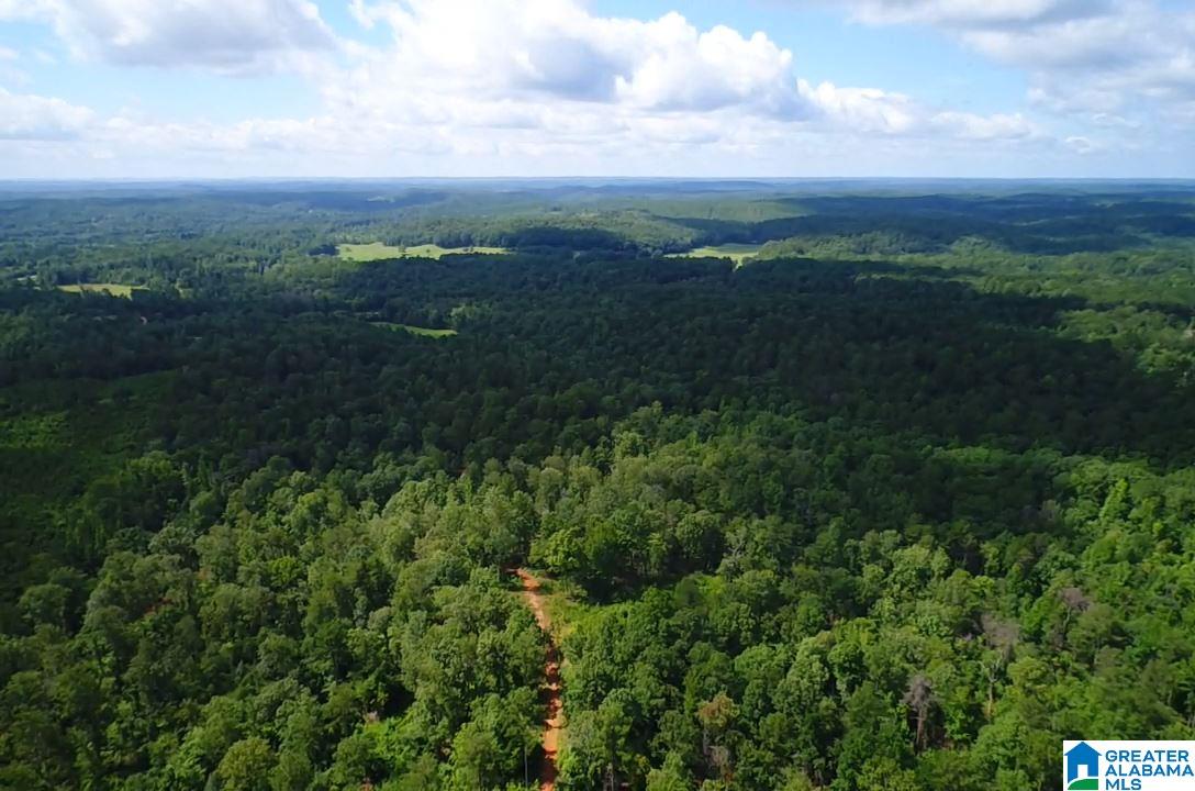 0 Brown Road Calera, AL 35040 - Photo 6 of 18