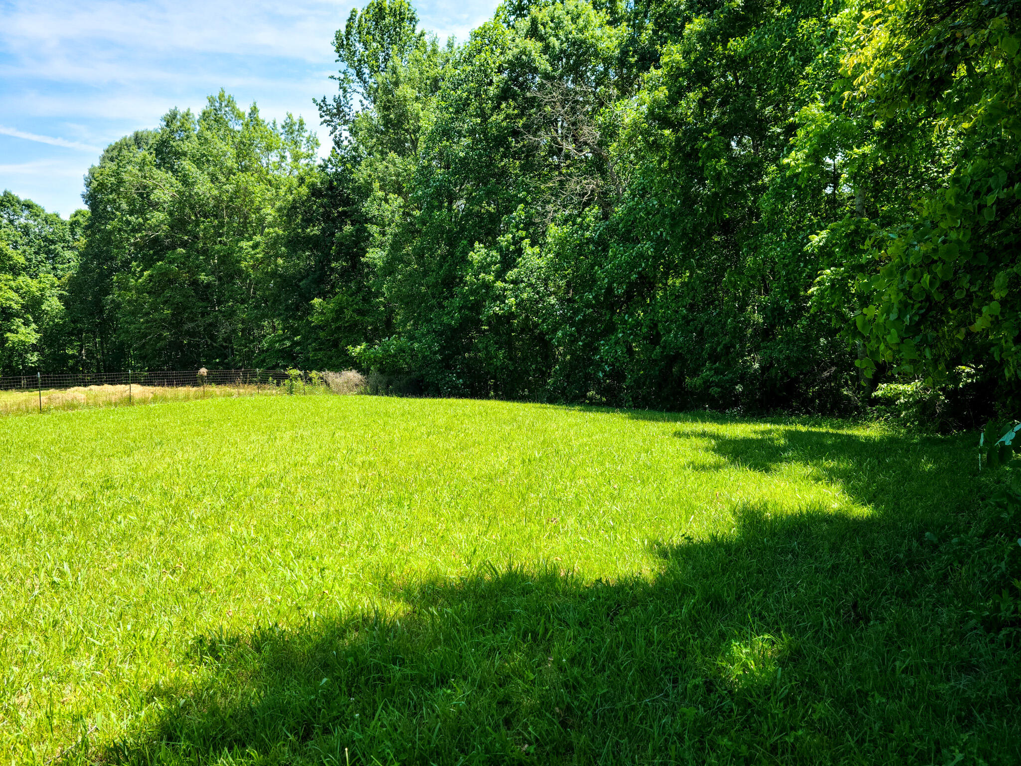 406 Scherrer Road Liberty, KY 42539 - Photo 21 of 56 20240531_144235