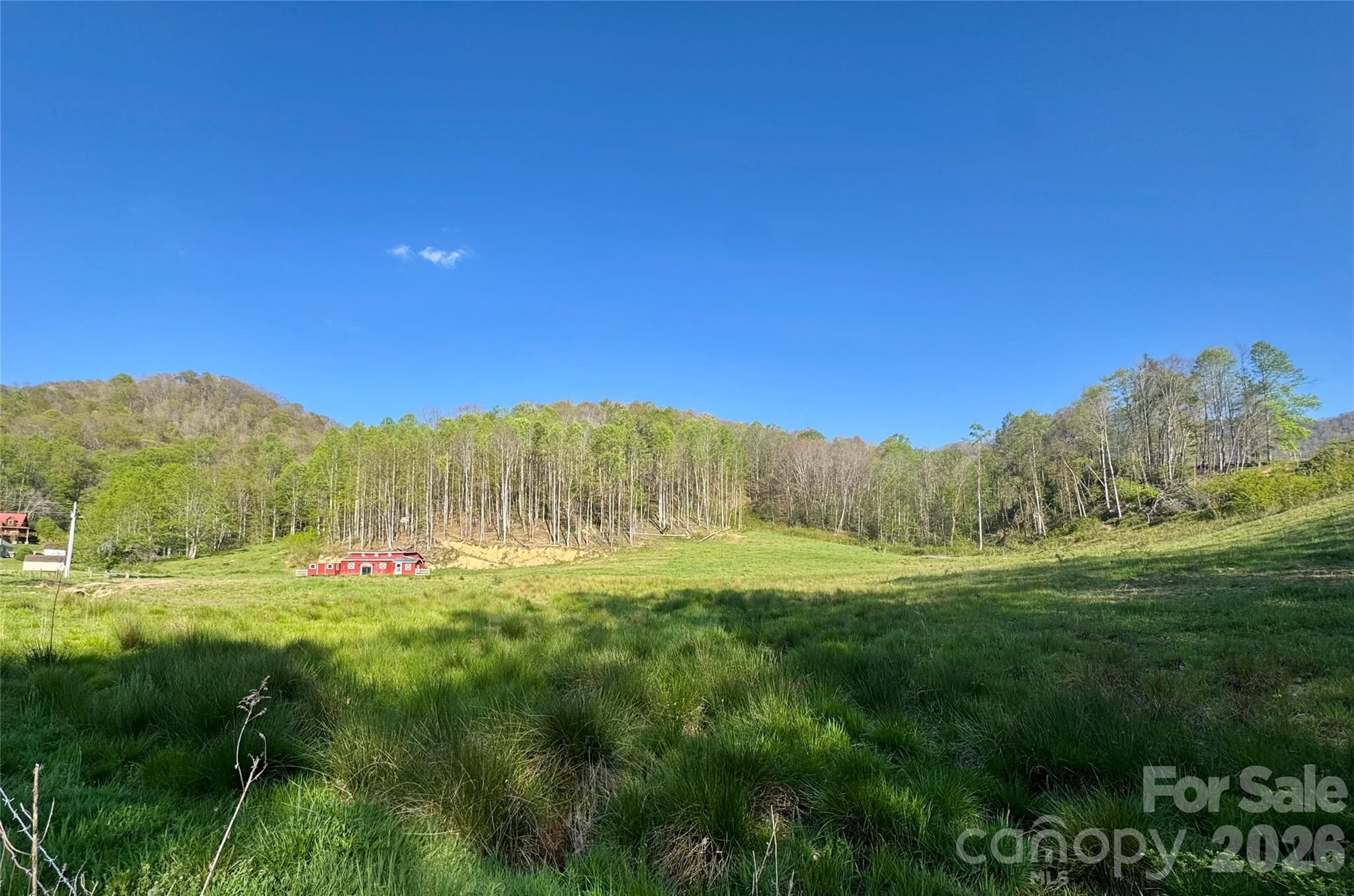 0 Odoms Chapel Road Bakersville, NC 28705 - Photo 11 of 22 a view of an outdoor space and a yard