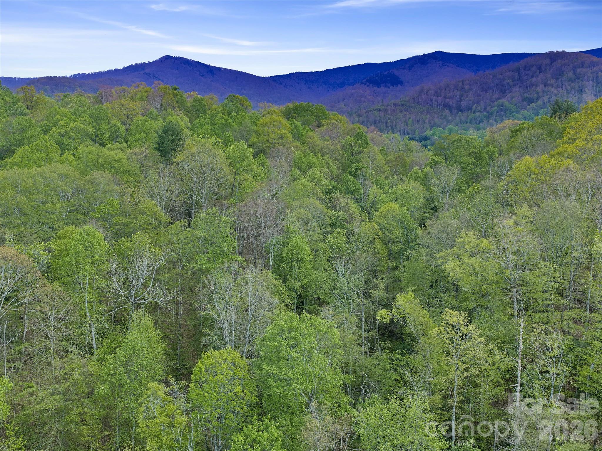 0 Odoms Chapel Road Bakersville, NC 28705 - Photo 12 of 22