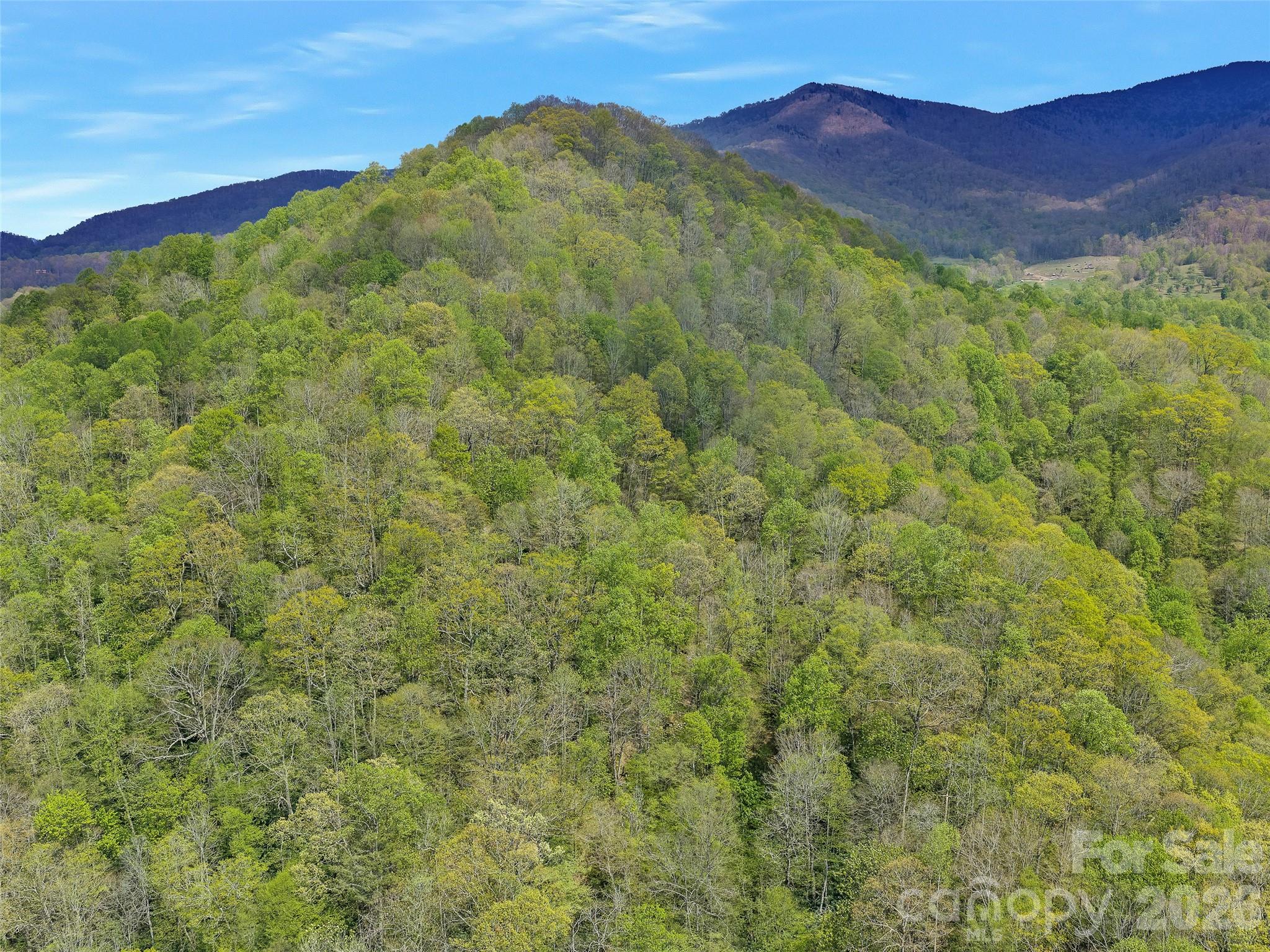 0 Odoms Chapel Road Bakersville, NC 28705 - Photo 13 of 22